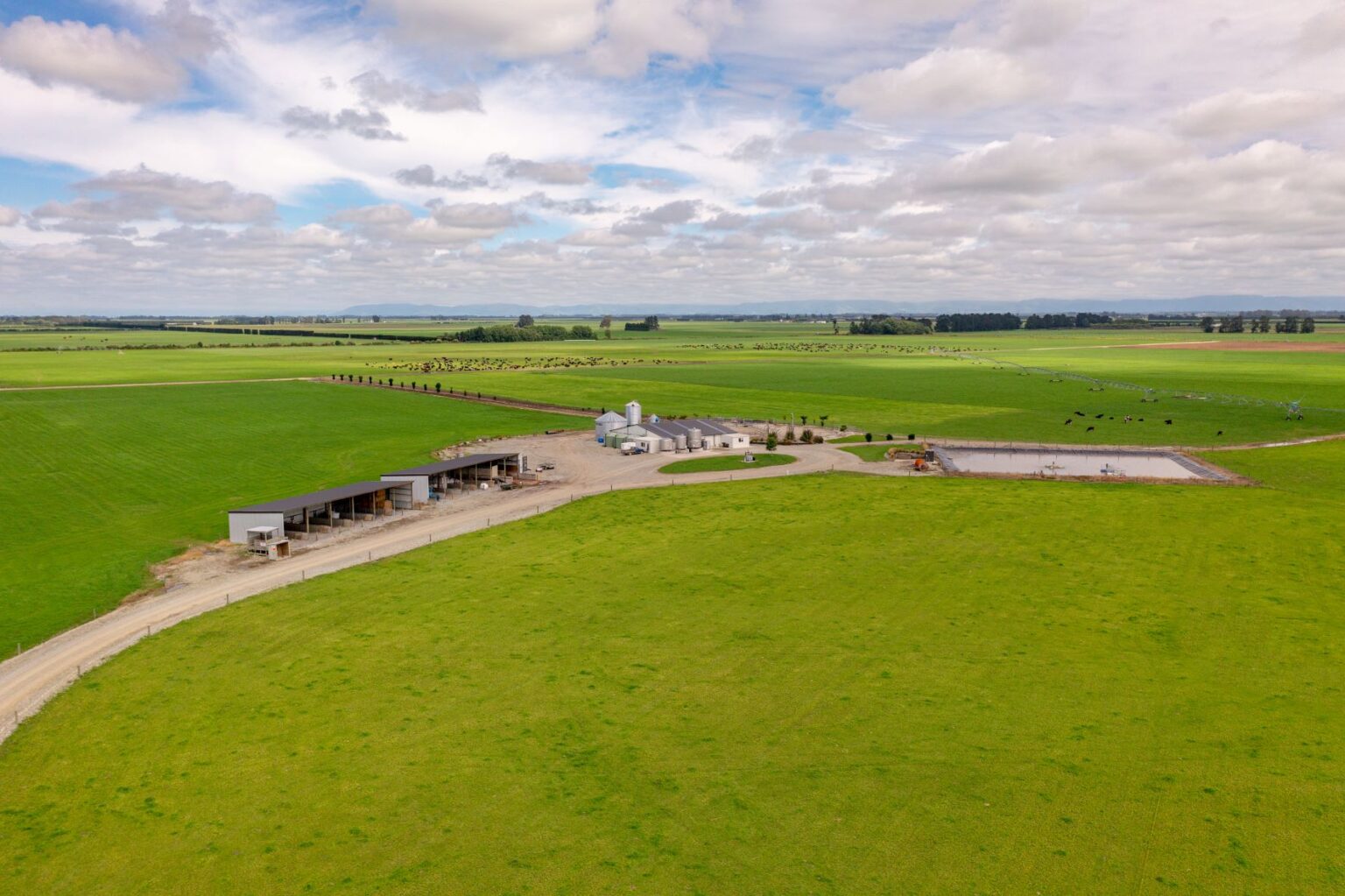 Dairy Farms in the South Island Rylib Group Ashburton & Hinds