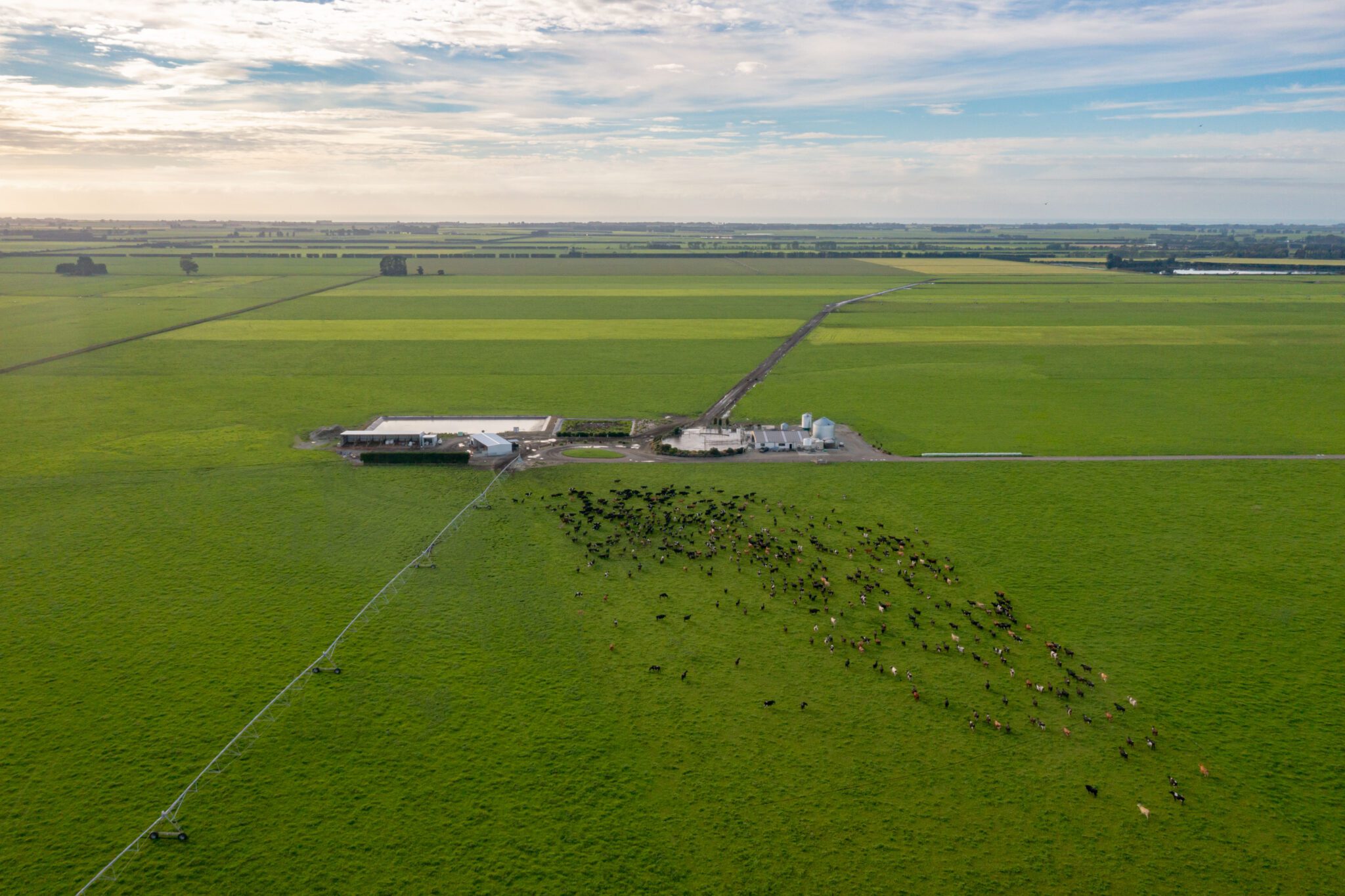 Dairy Farms in the South Island Rylib Group Ashburton & Hinds