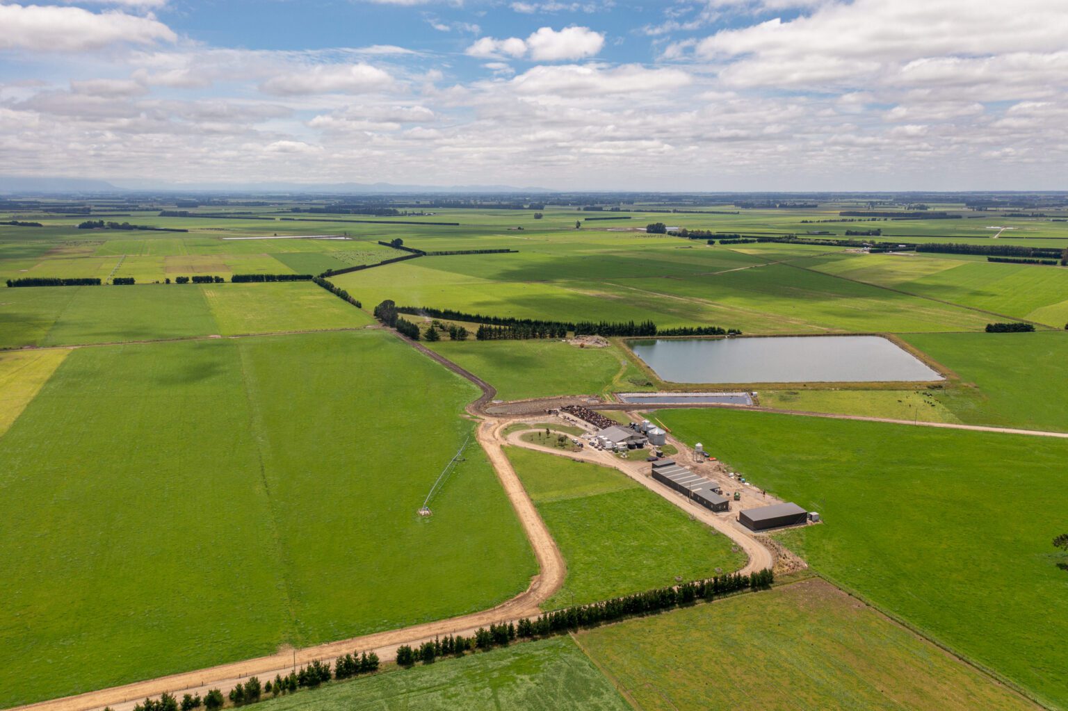 Dairy Farms in the South Island Rylib Group Ashburton & Hinds